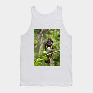 With a Song in his Heart  - Redstart Tank Top